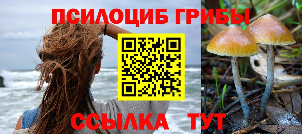 Псилоцибиновые грибы GOLDEN TEACHER Сертолово